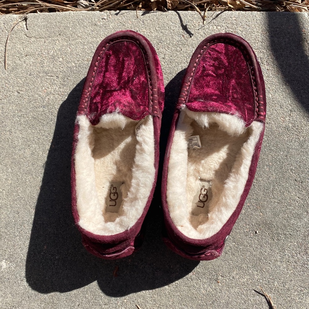 Ansley ugg mocassins